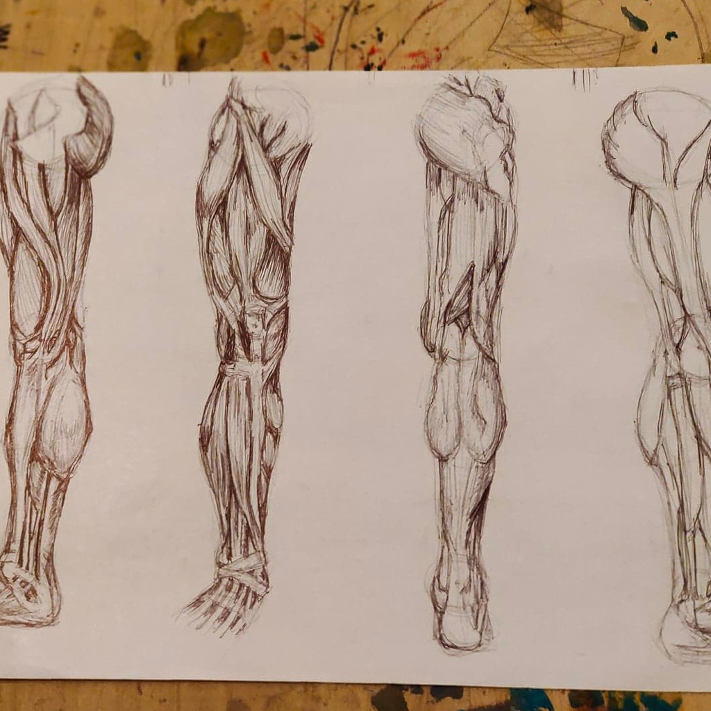 Wolna Pracownia Anatomia